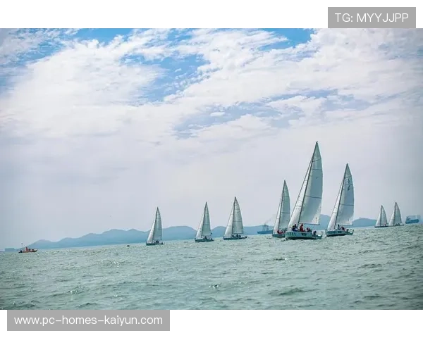 海上帆船比赛风向选择决定胜负